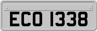 ECO1338