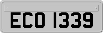 ECO1339