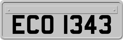ECO1343