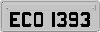 ECO1393