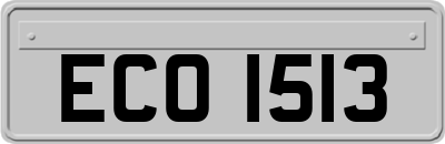 ECO1513