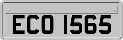 ECO1565