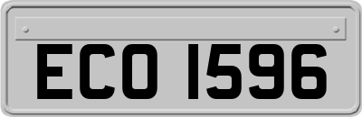 ECO1596