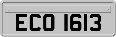 ECO1613
