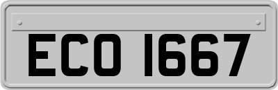 ECO1667