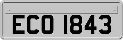 ECO1843