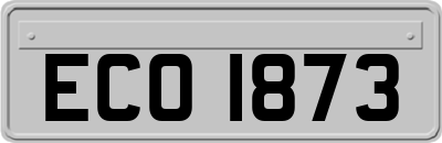 ECO1873