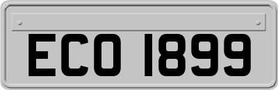 ECO1899