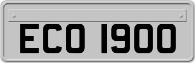 ECO1900