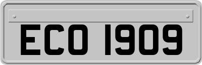 ECO1909