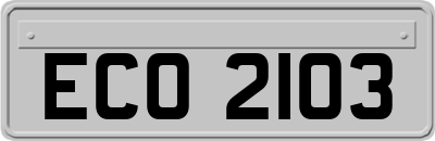 ECO2103