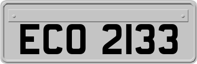 ECO2133