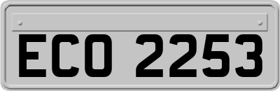 ECO2253