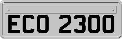 ECO2300