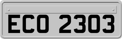 ECO2303