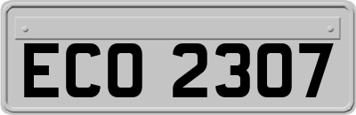 ECO2307