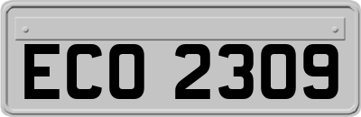 ECO2309