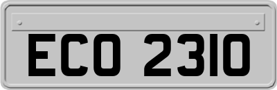 ECO2310