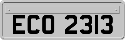 ECO2313