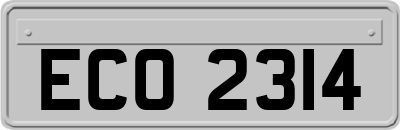 ECO2314