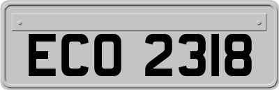 ECO2318