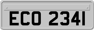 ECO2341
