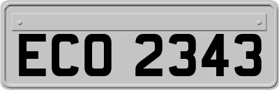 ECO2343
