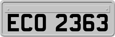 ECO2363