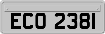 ECO2381