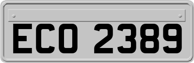 ECO2389