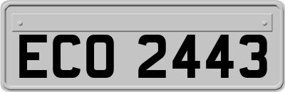 ECO2443