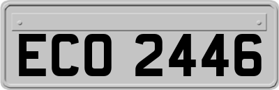 ECO2446