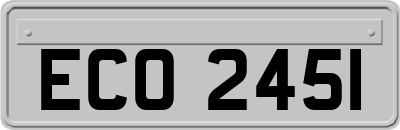 ECO2451