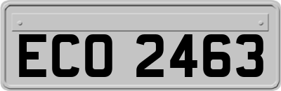 ECO2463