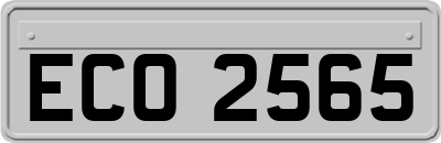 ECO2565