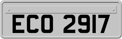 ECO2917