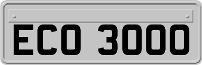 ECO3000