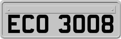 ECO3008