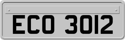 ECO3012