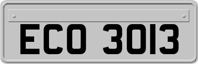 ECO3013