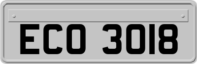 ECO3018