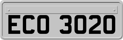 ECO3020