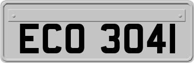 ECO3041