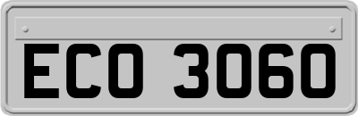 ECO3060
