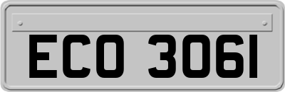 ECO3061
