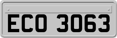 ECO3063