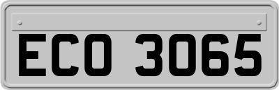 ECO3065