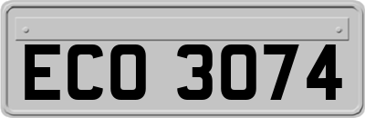 ECO3074