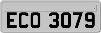 ECO3079