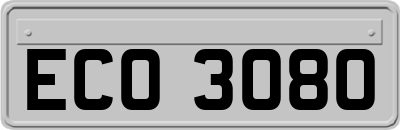 ECO3080